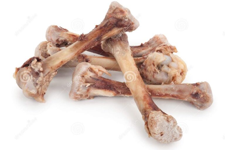 Can you grind chicken bones in a blender?